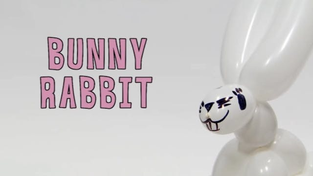 Bunny Rabbit 
