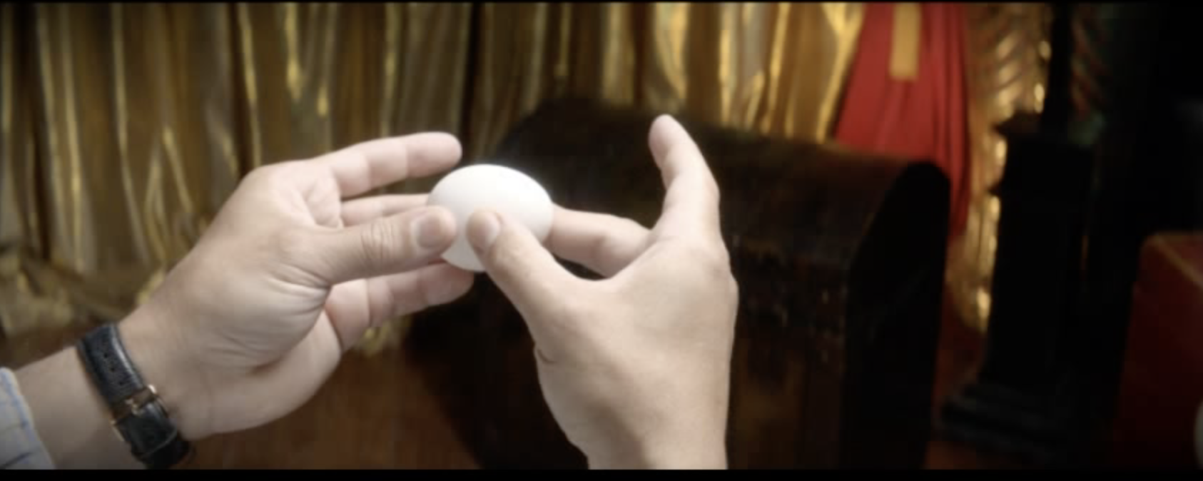 Bill in Egg: Explanation