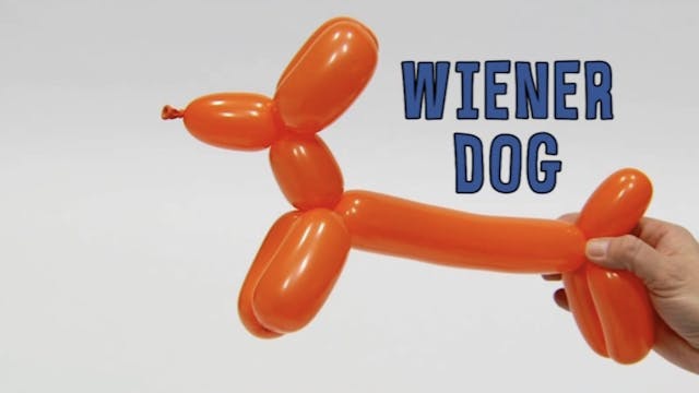 Wiener Dog 