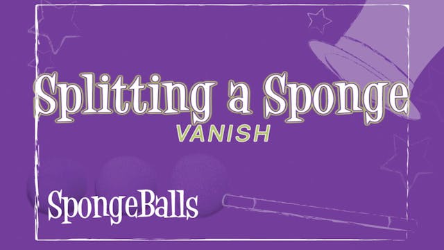 Splitting a Sponge Vanish