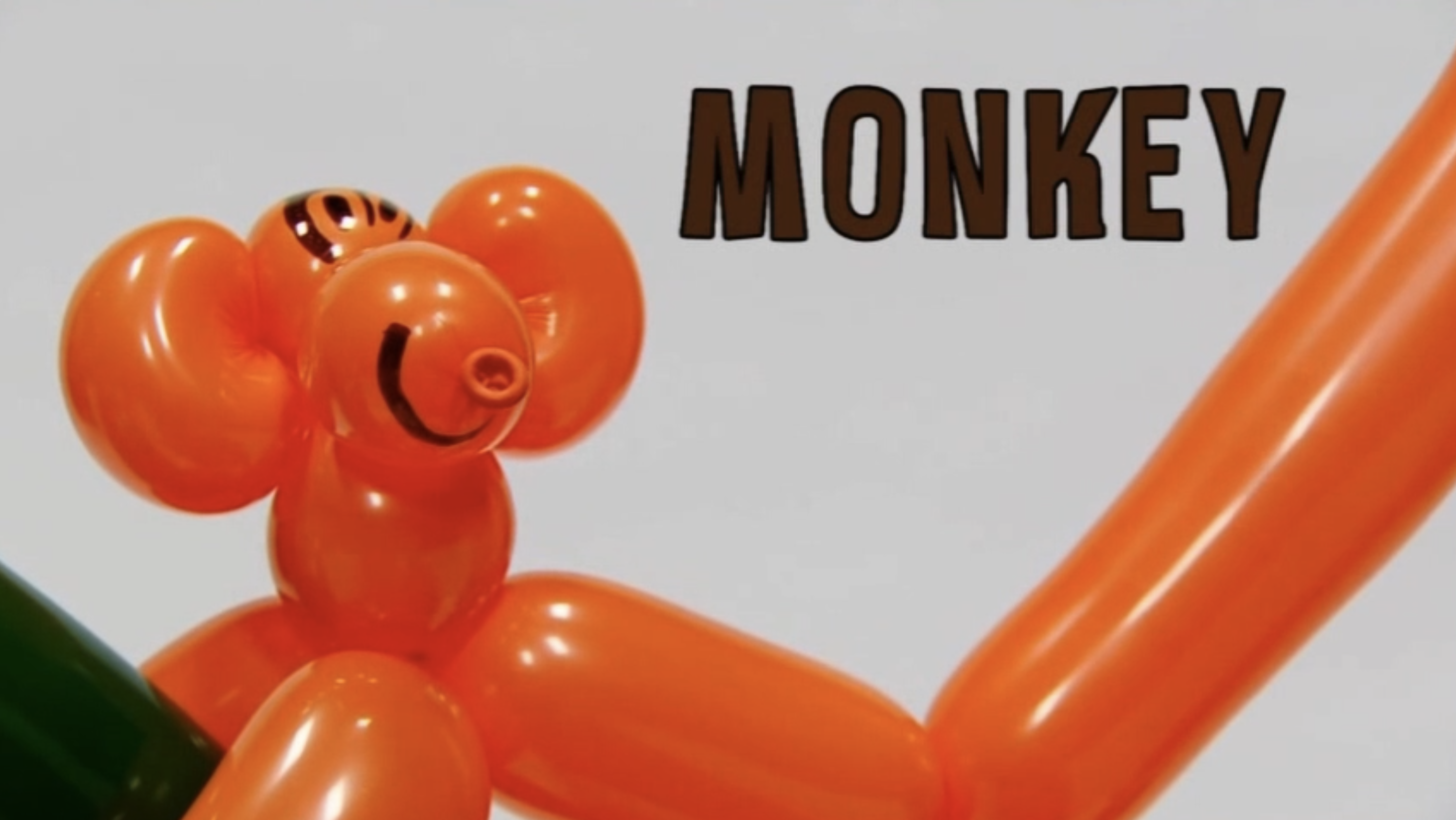 Monkey 