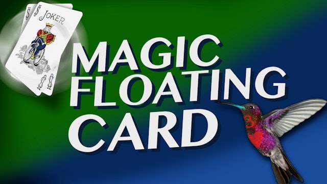 Learn Hummingbird Card - Complete Collection on MasterMagicTricks.com