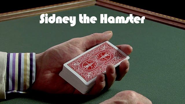 Sydney the Hamster 