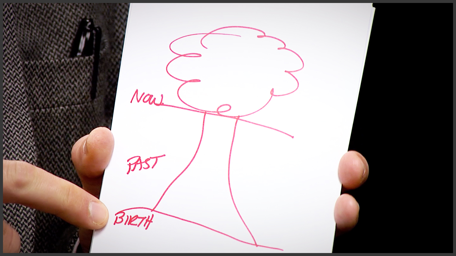 Components of the Tree Tops & Trunks 