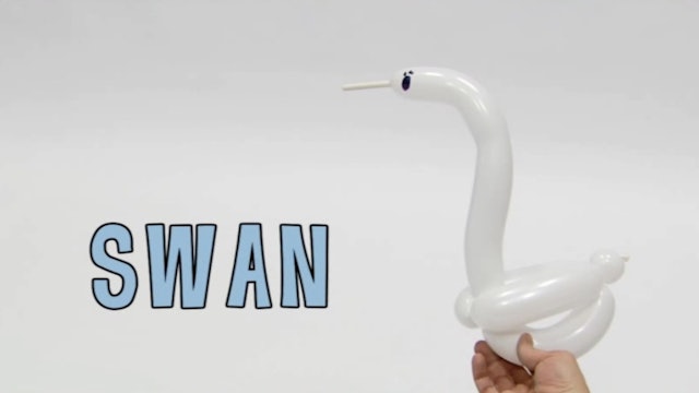 Swan 