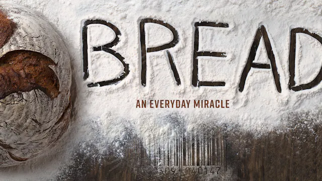 BREAD: AN EVERYDAY MIRACLE