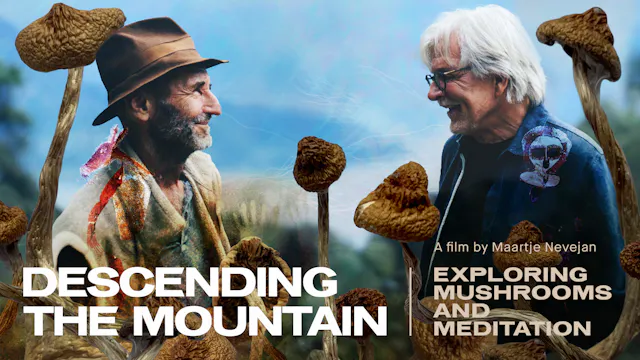 DESCENDING THE MOUNTAIN
