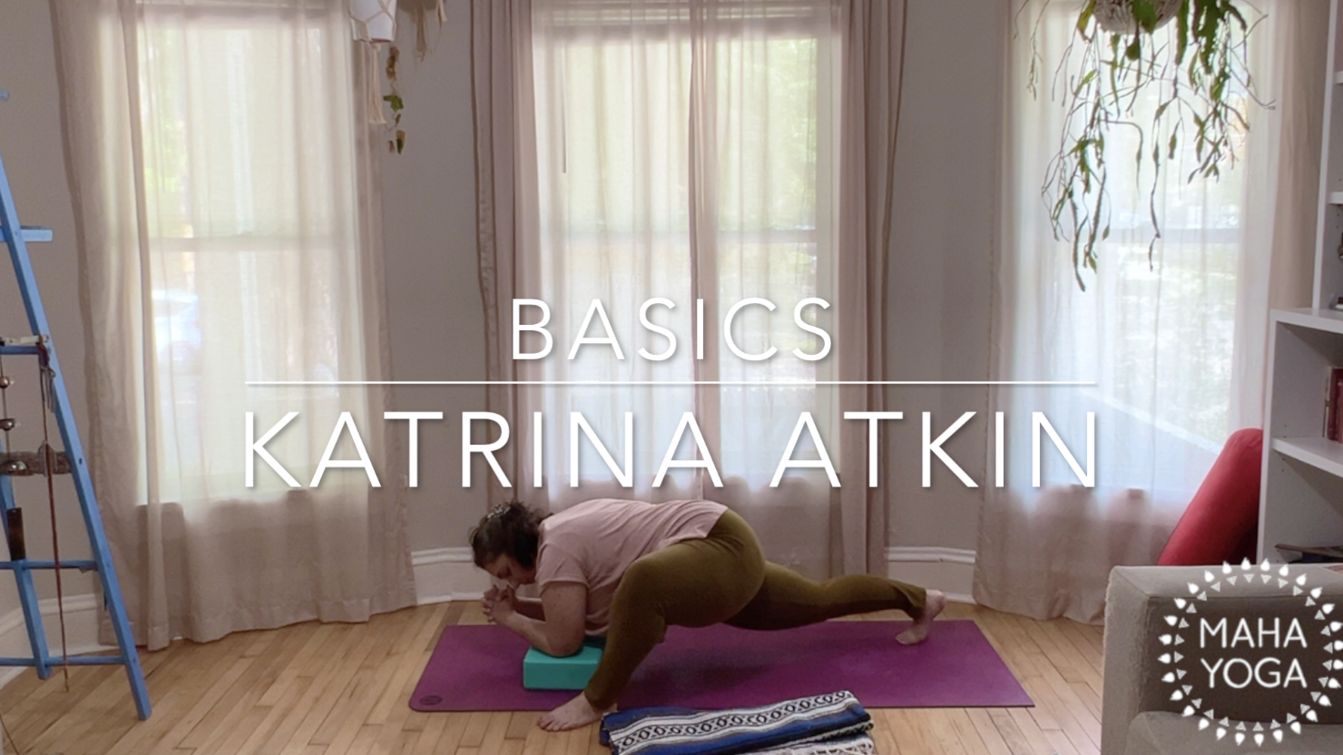 45 min basics w/ Katrina: get into lizard