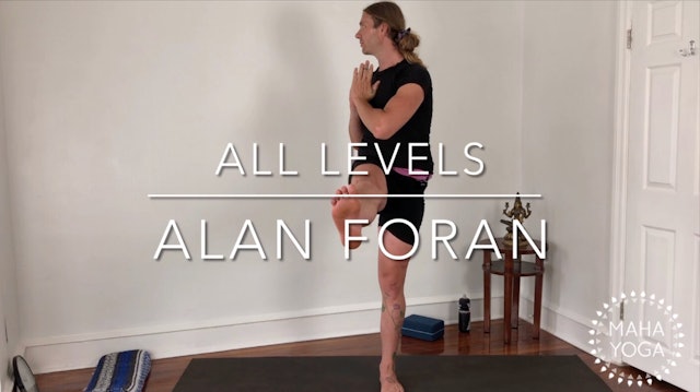 45 min all levels w/ Alan: standing balances (off the hands)