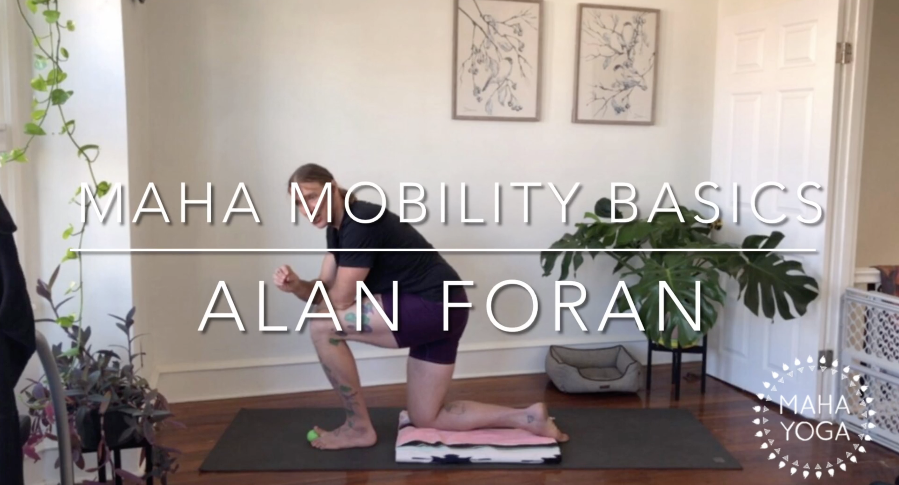 30 min maha mobility w/ Alan: big toe extension