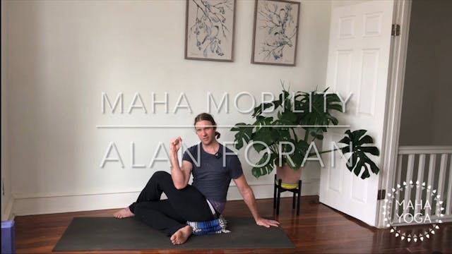 28 min maha mobility w/ Alan: spinal ...