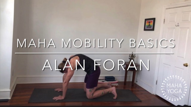 32 min mobility basics w/ Alan: spinal flexion 