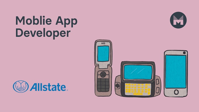 3. Mobile App Developer