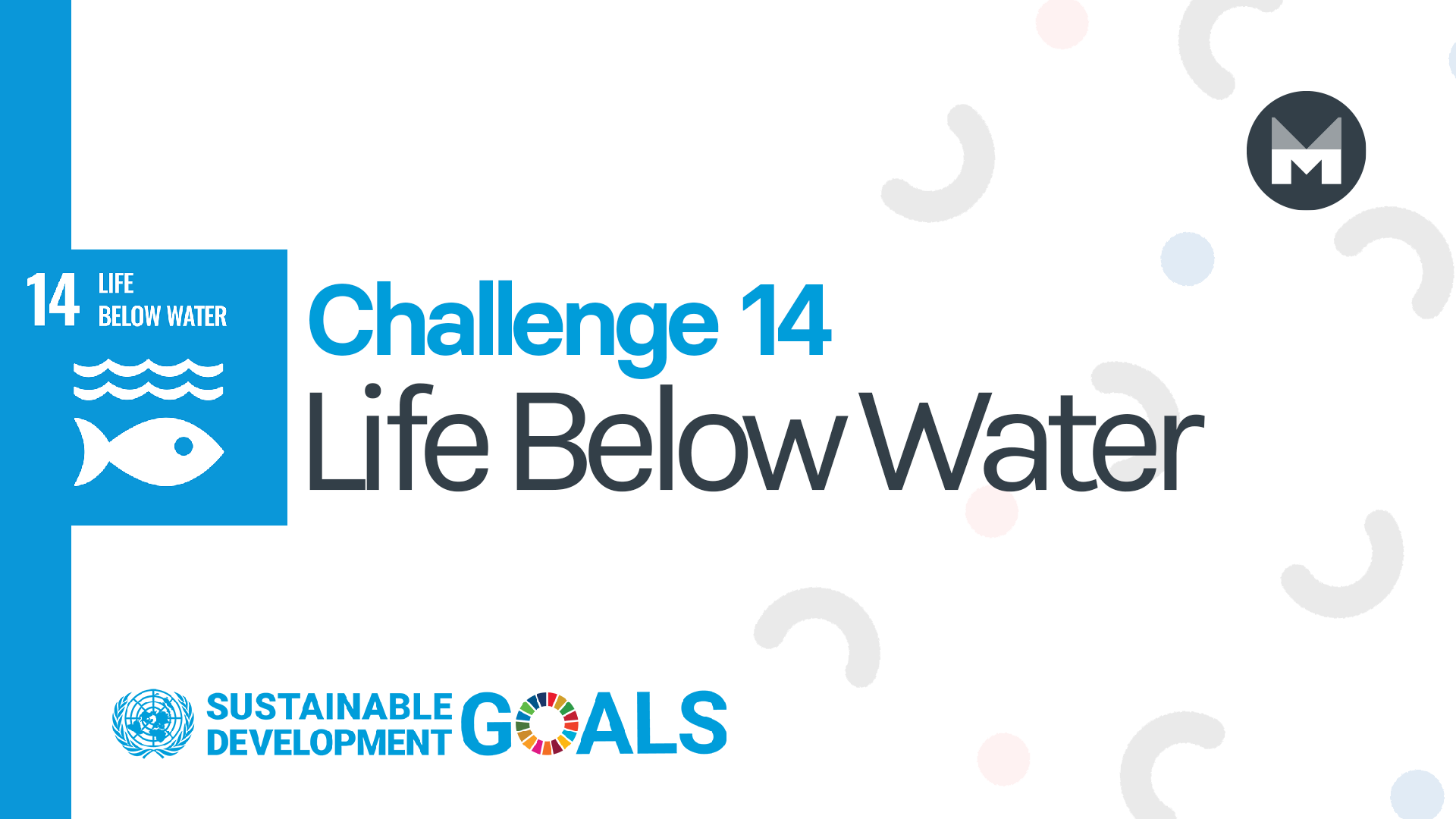 Challenge 14: Life Below Water