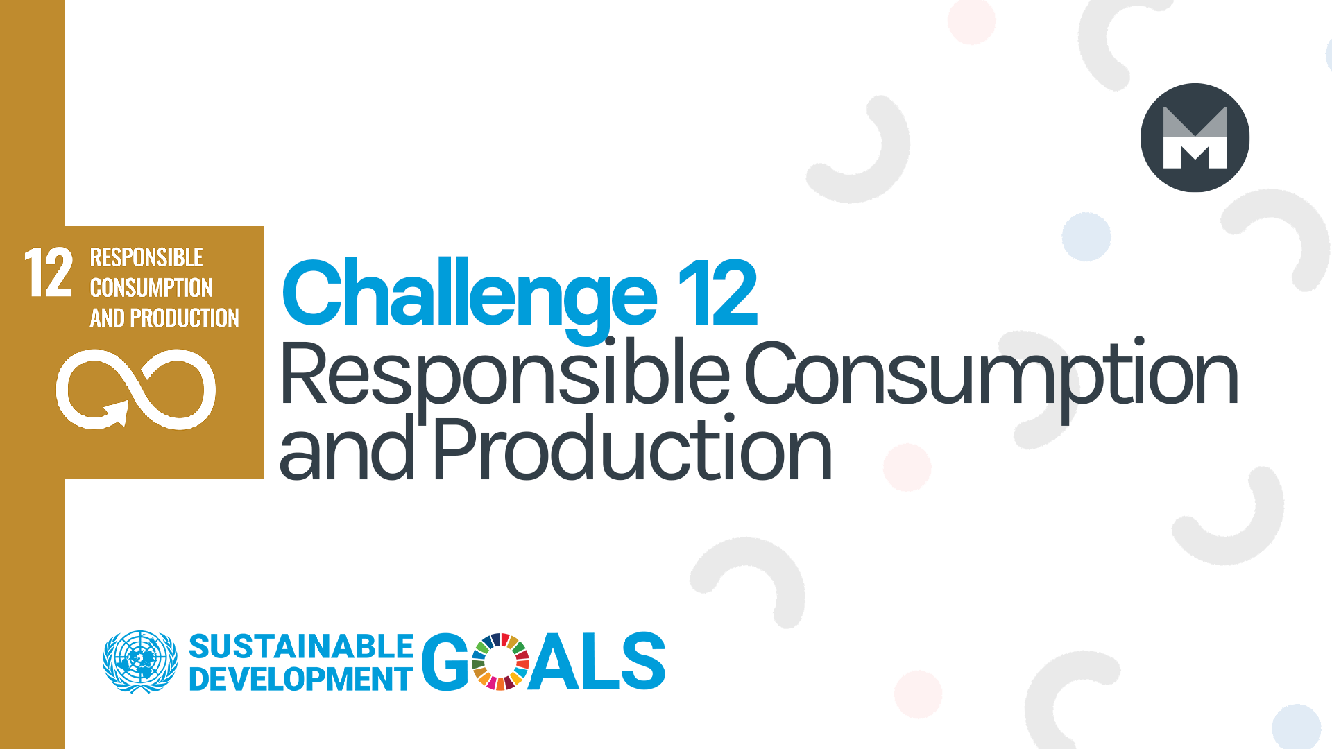 Challenge 12: Responsible Consumption and Production 