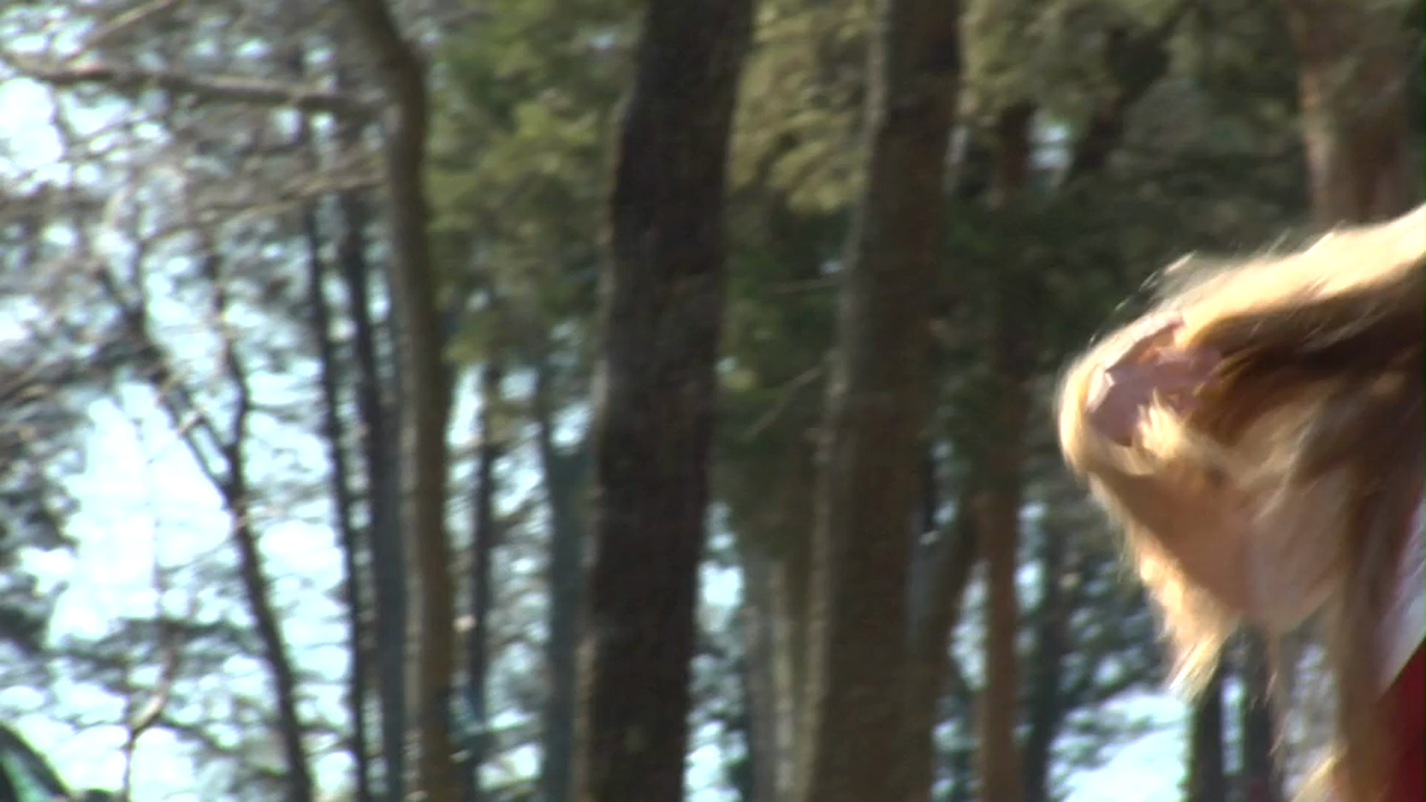 Deleted Score 03: "Blood Will Tell"