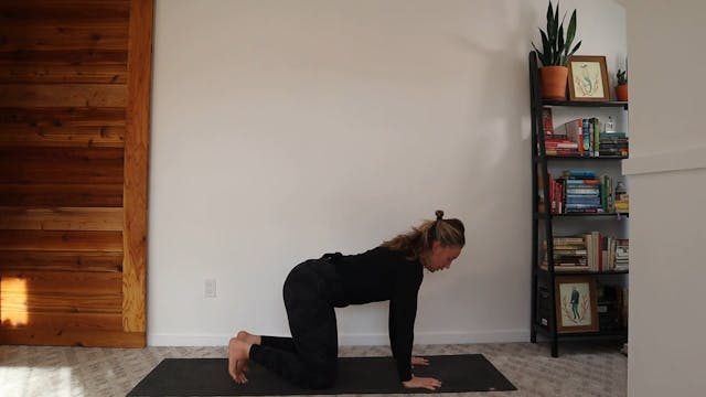 30 min | Well Rounded | Arm Balancing 