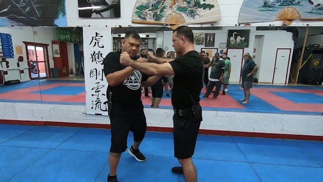 3. Panantukan + elbows (8-2019 South FL Workshop)