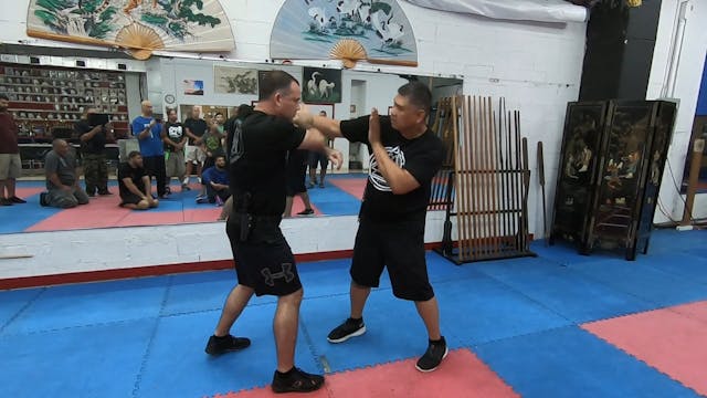 15. Freeze-framing shots (8-2019 South FL Workshop)