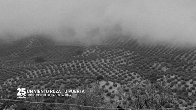 UN VIENTO ROZA TU PUERTA