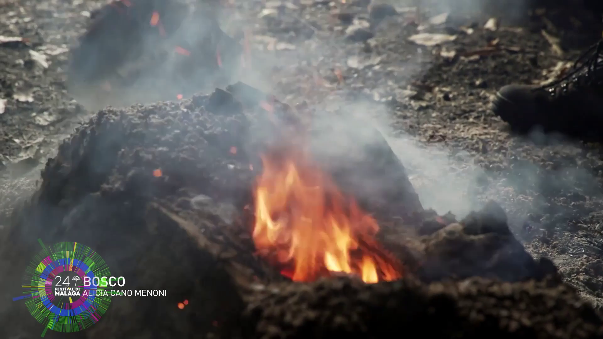 Bosco - Documental Sección Oficial a concurso