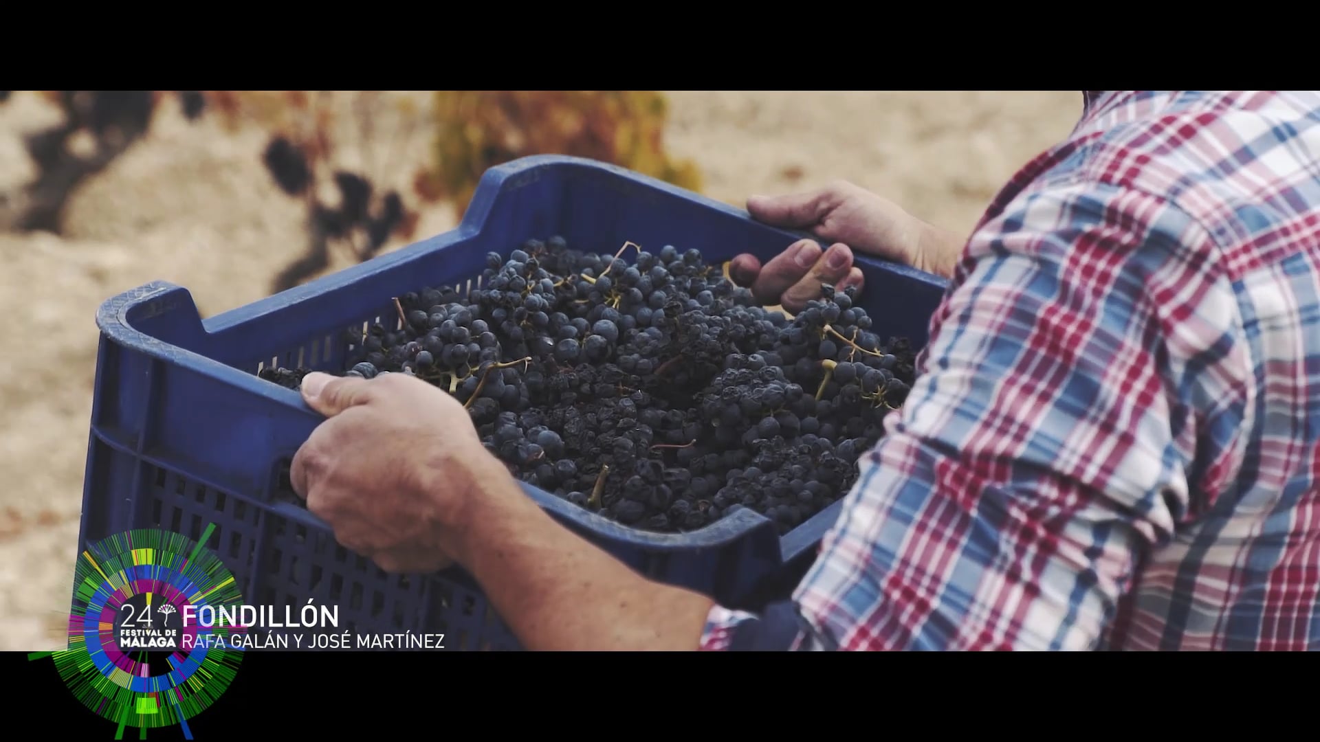 Fondillón - Cinema Cocina