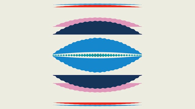 Documentales Sección Oficial - 26 Fes...