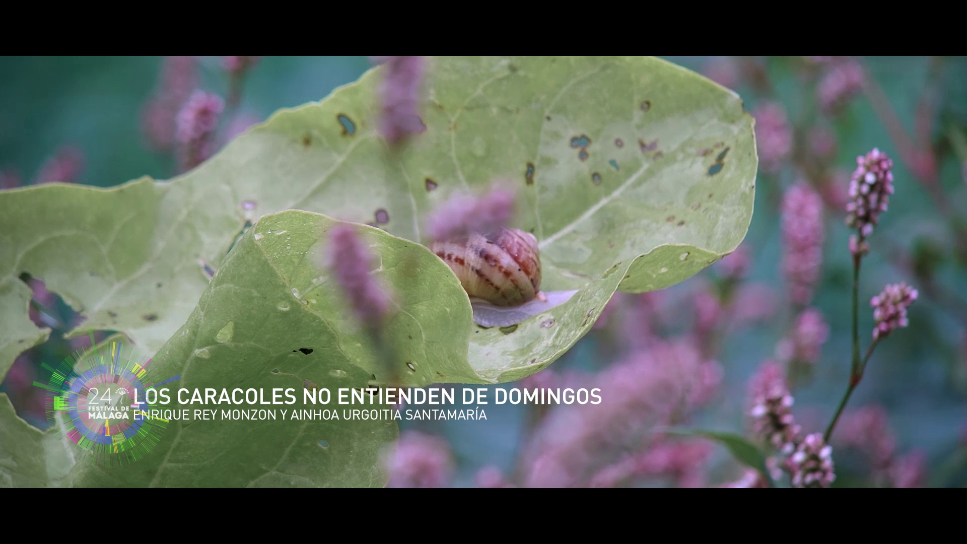 Los caracoles no entienden de domingos - Afirmando los derechos de las mujeres