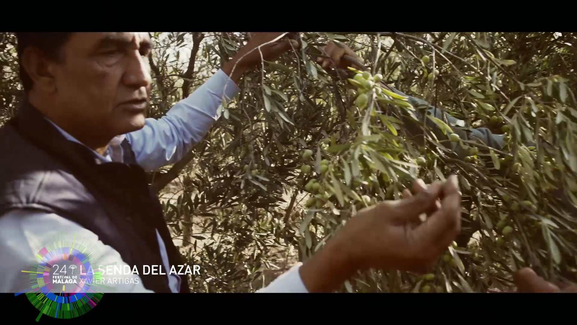 La senda del azar - Cinema Cocina