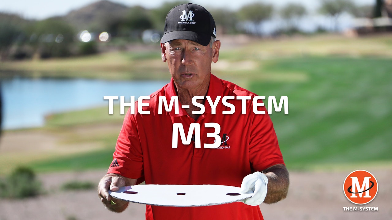 M-SYSTEM: M3 - HOW THE BODY WORKS
