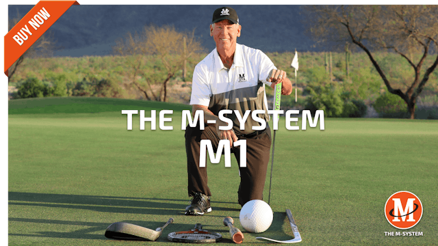 [PURCHASE] M-SYSTEM: M1 