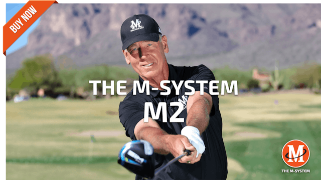 [PURCHASE] M-SYSTEM: M2 