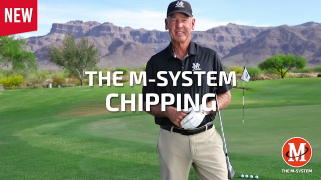 M-SYSTEM: CHIPPING