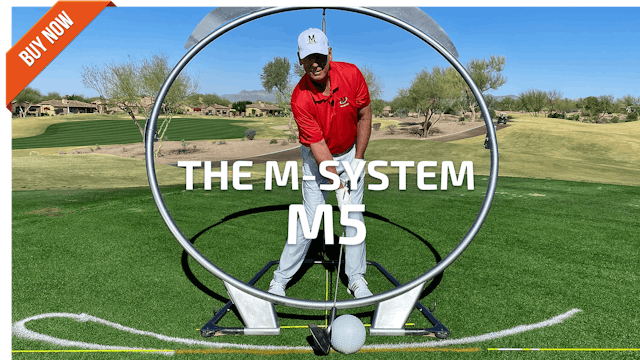 [PURCHASE] M-SYSTEM: M5