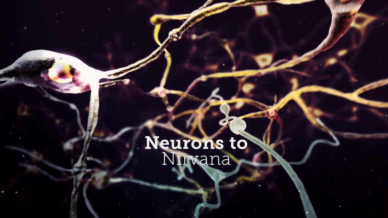 Neurons to Nirvana - Rent