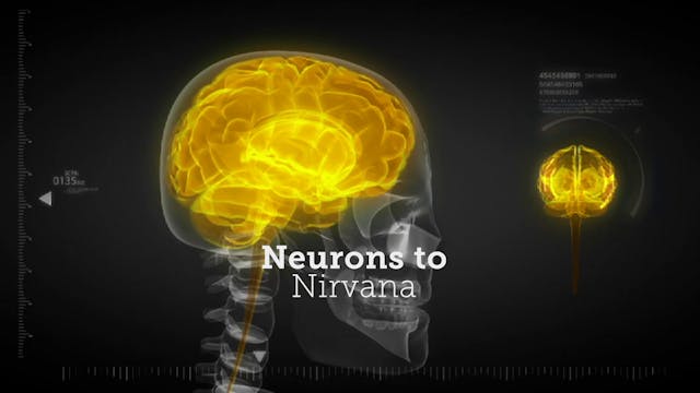 Neurons to Nirvana - Extras Deluxe