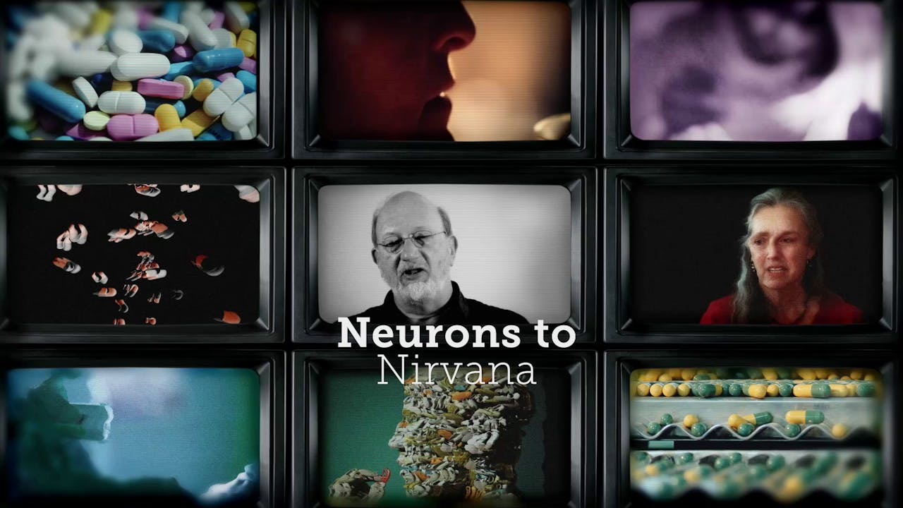 Neurons to Nirvana - Buy