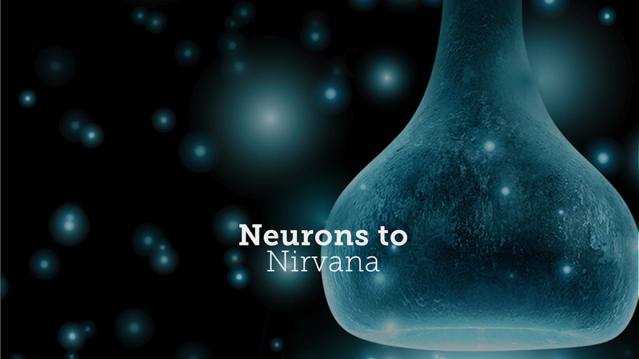 Neurons to Nirvana - Deluxe Package