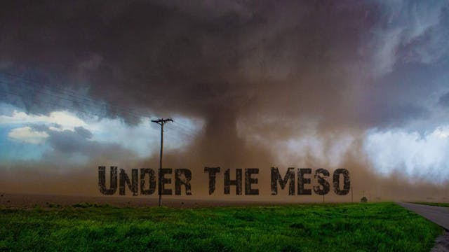 Under The Meso