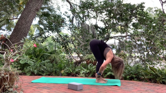 Sunday 5/10 | Yoga | Sarasota's Rebekka Mars