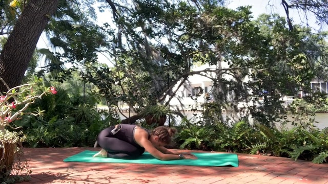 Sunday 5/17 | Yoga | Sarasota's Rebekka Mars