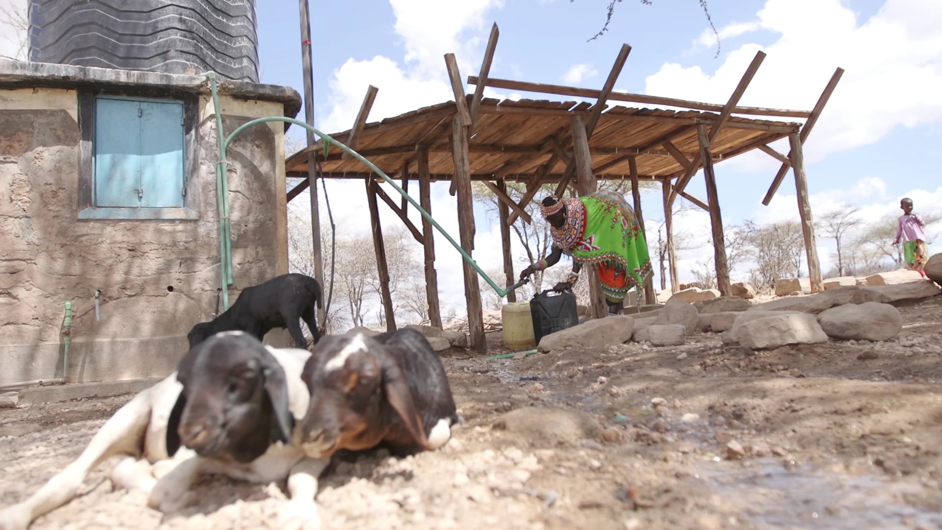 Um Chamado ao Quênia