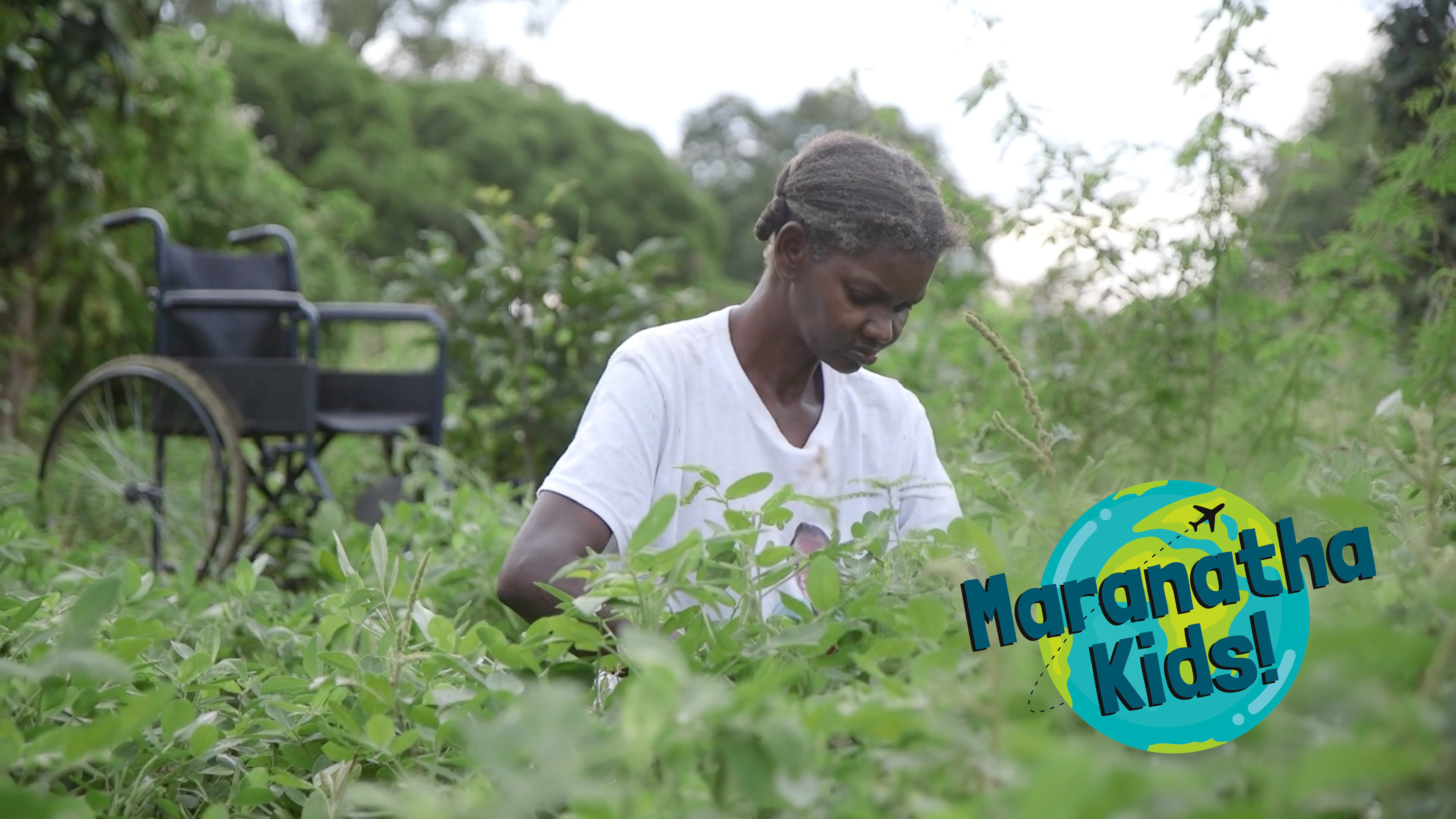 Doing Lina's Laundry