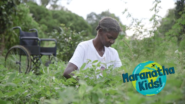 Doing Lina's Laundry