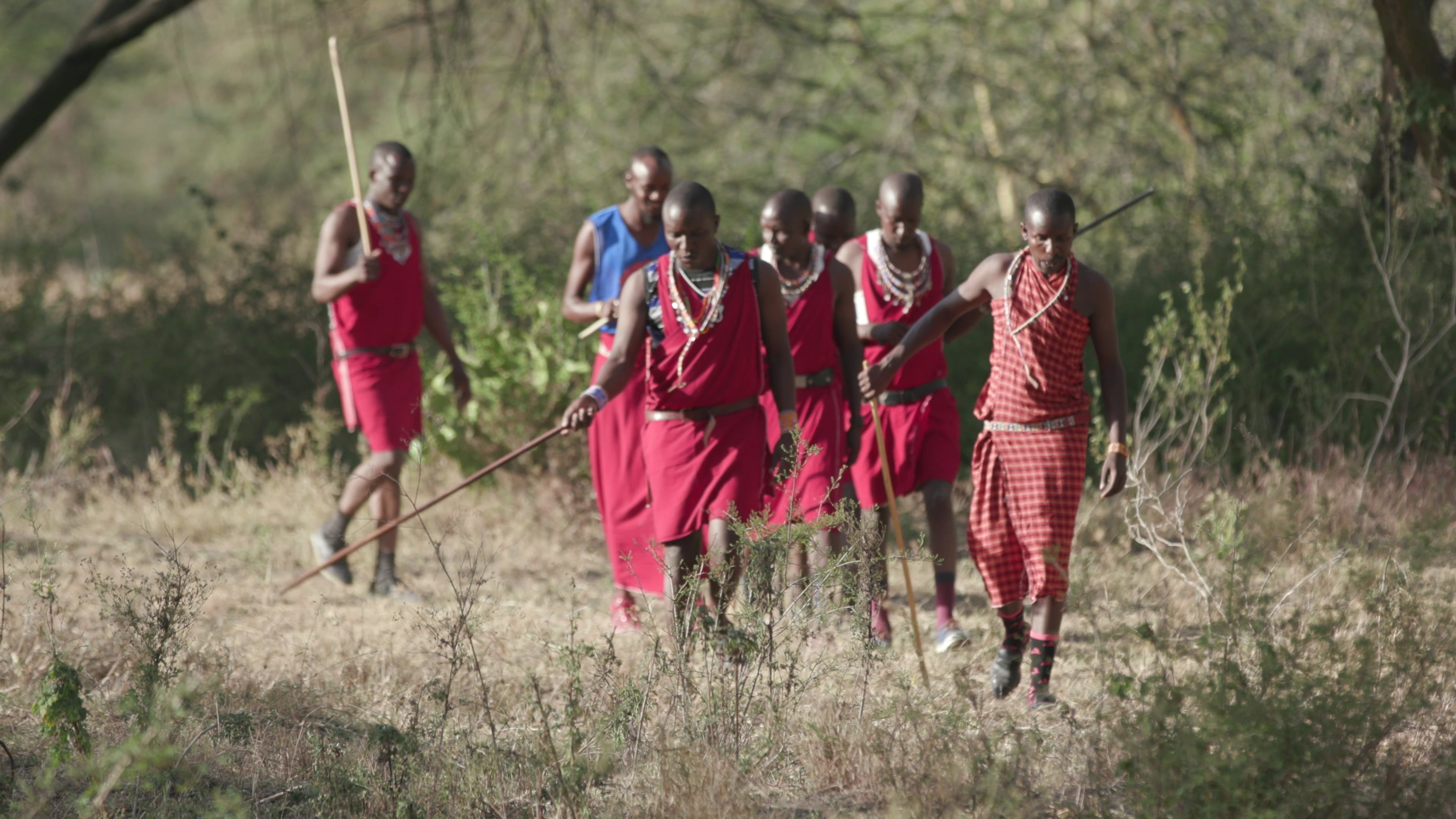 #GivingTuesday: Fuga