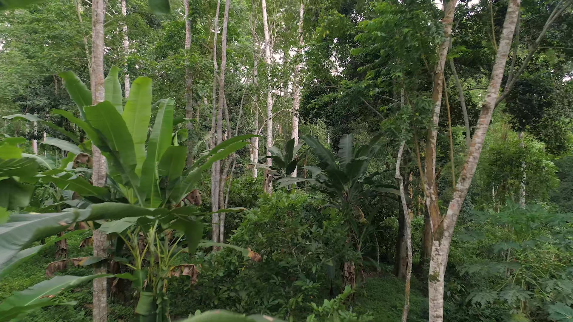 New Horizon in Kenya