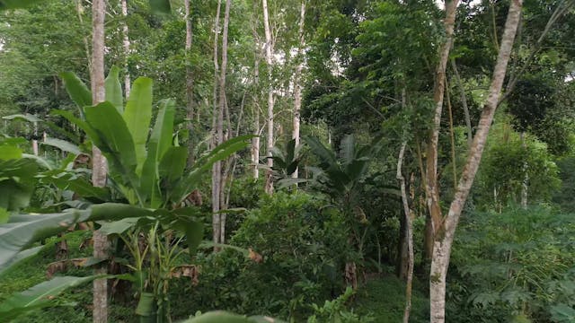 New Horizon in Kenya