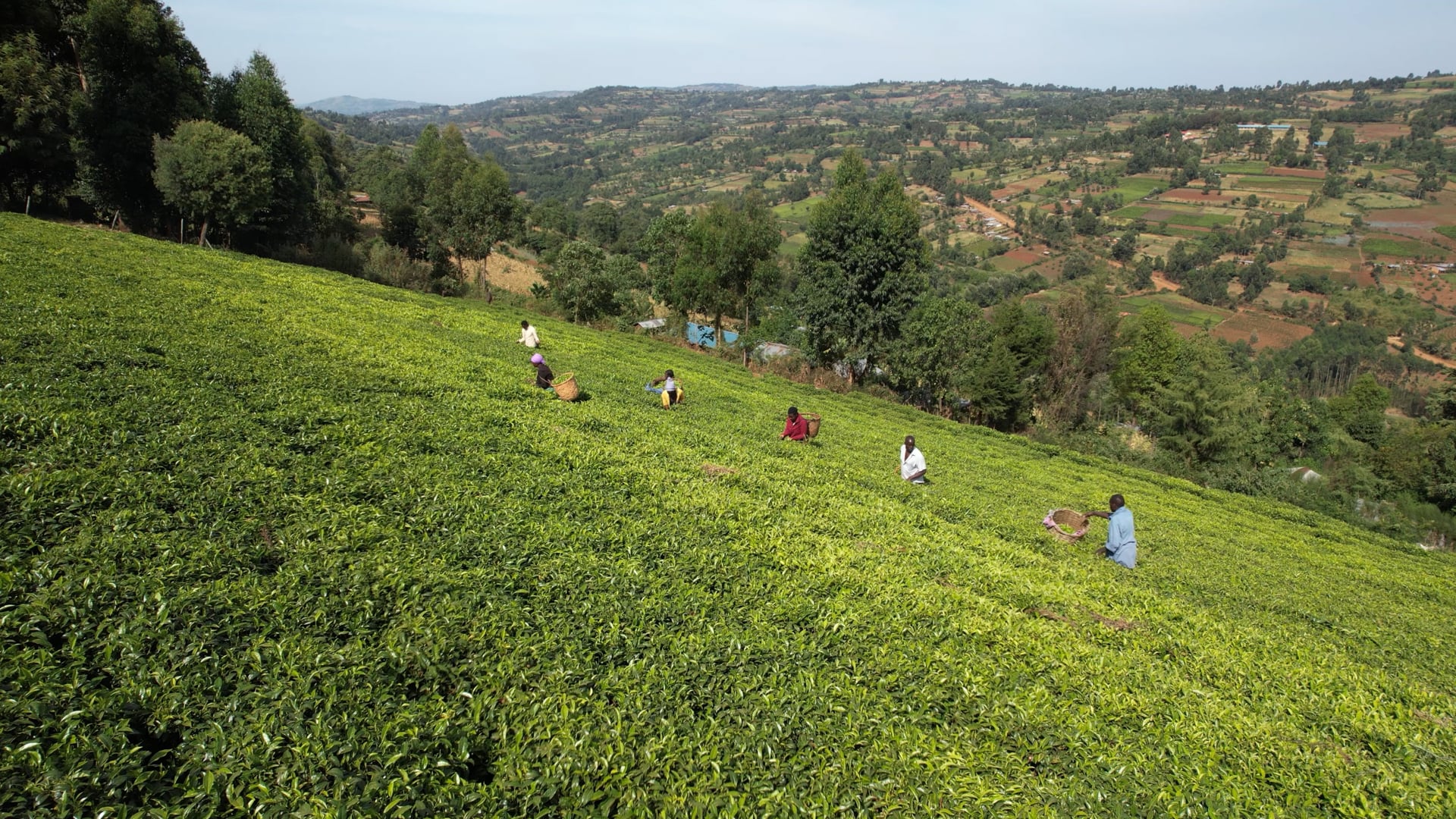 #GivingTuesday 2025: Classrooms for Kenya