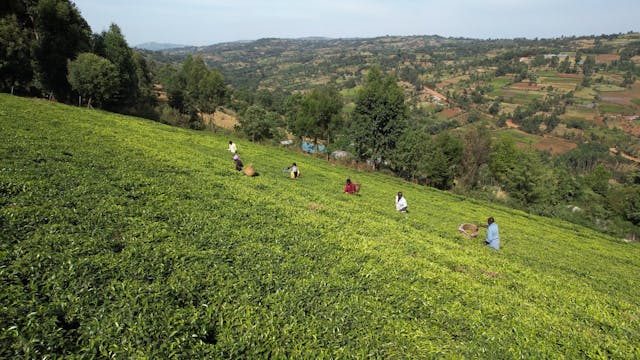 #GivingTuesday 2025: Classrooms for K...