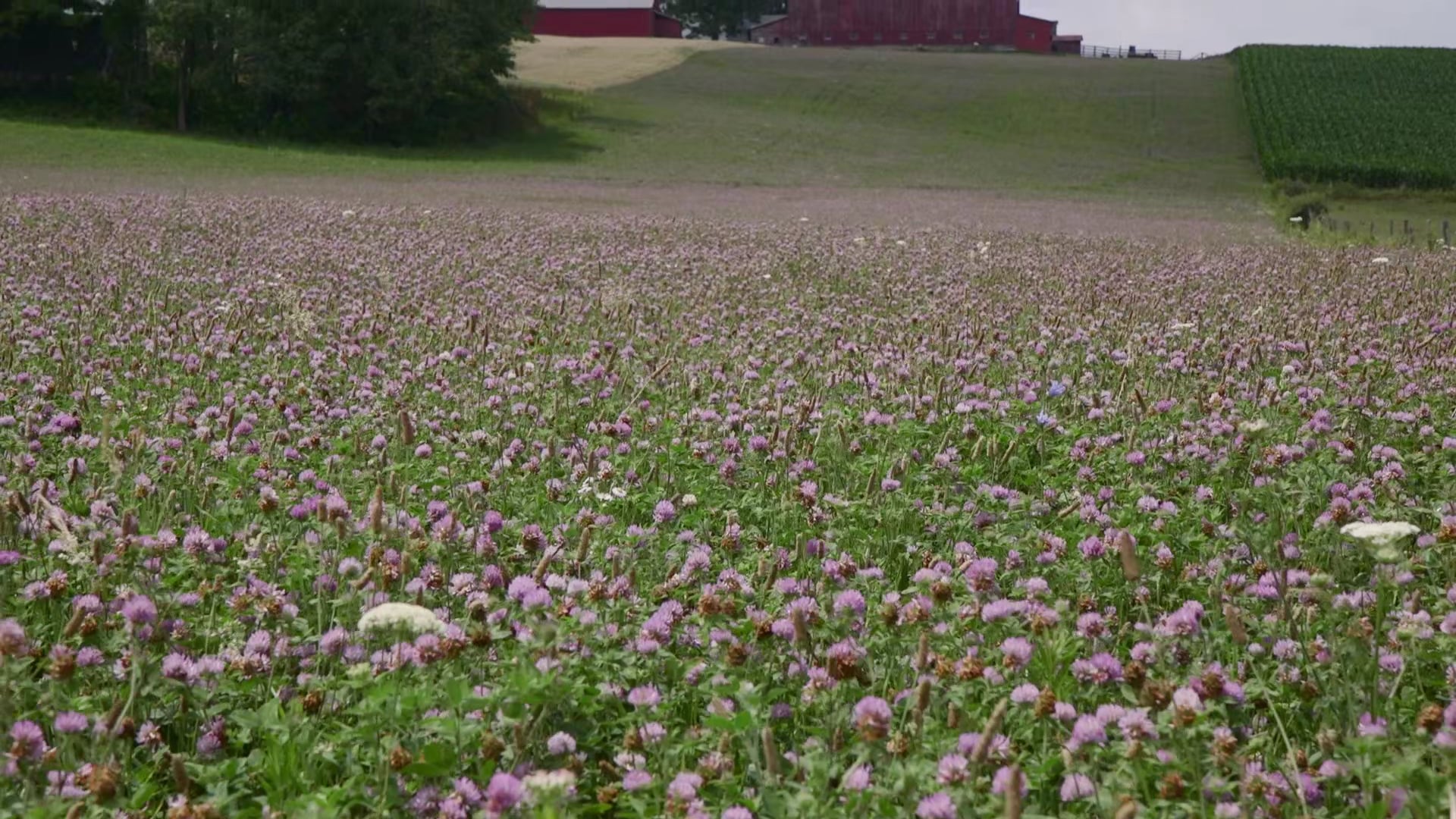 Servindo perto de casa